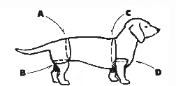 A drawing of a dog in the harness