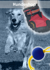 Tierphysiotherapie Angebote Hund Pferd Hundegesundheit