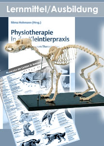 Tierphysiotherapie Angebote Videos und Buecher Aus-Weiterbildung