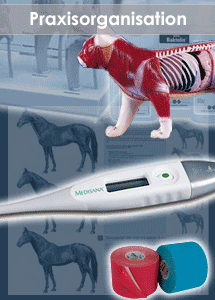 Tierphysiotherapie Angebote Praxisorganisation