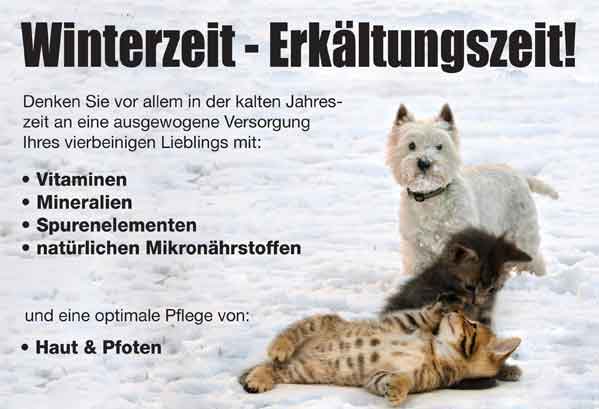 Winterzeit - Erk�ltungszeit