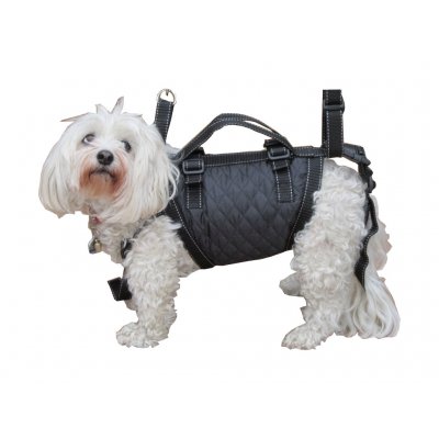 Hundetragegurt Tiffys Tasche