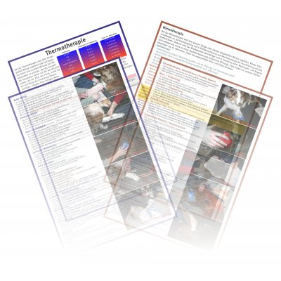 �bersichtskarten Thermotherapie Hund