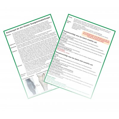 Pathologie-Therapie-Tafel Pferd 01: Knochenspat