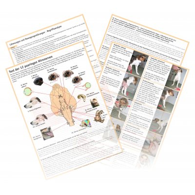 �bersichtskarten Nervenfunktionstest Hund