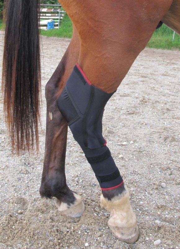 TSM vet-Reha Pferd Bandage f&uuml;r Sprunggelenk rechts - lange Ausf&uuml;hrung