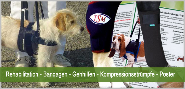 Rehabilitation, Bandagen, Gehhilfen