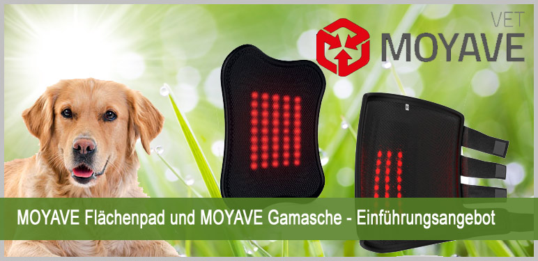 Moyave Einf�hrungsangebot