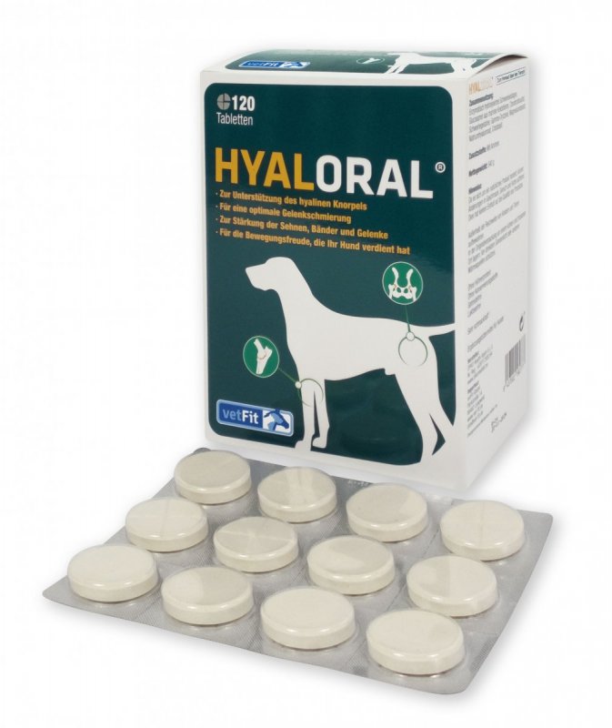 HyalOraL für Hunde Hyaluron für gesunde Gelenke ohne Spritze