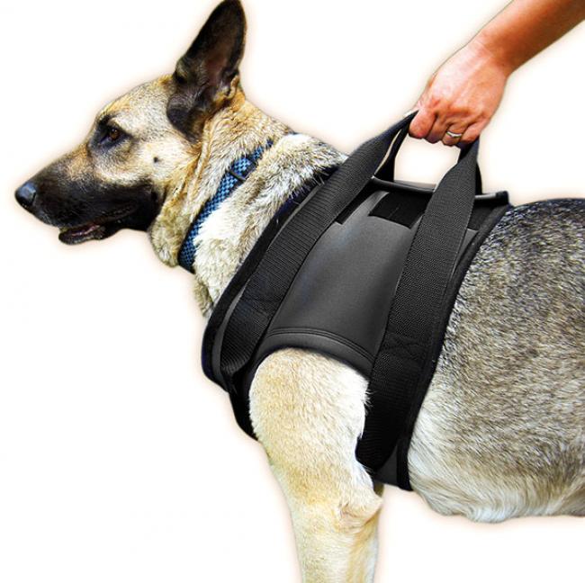 Gehhilfe Geschirr für Hunde Julius K9 VORNE