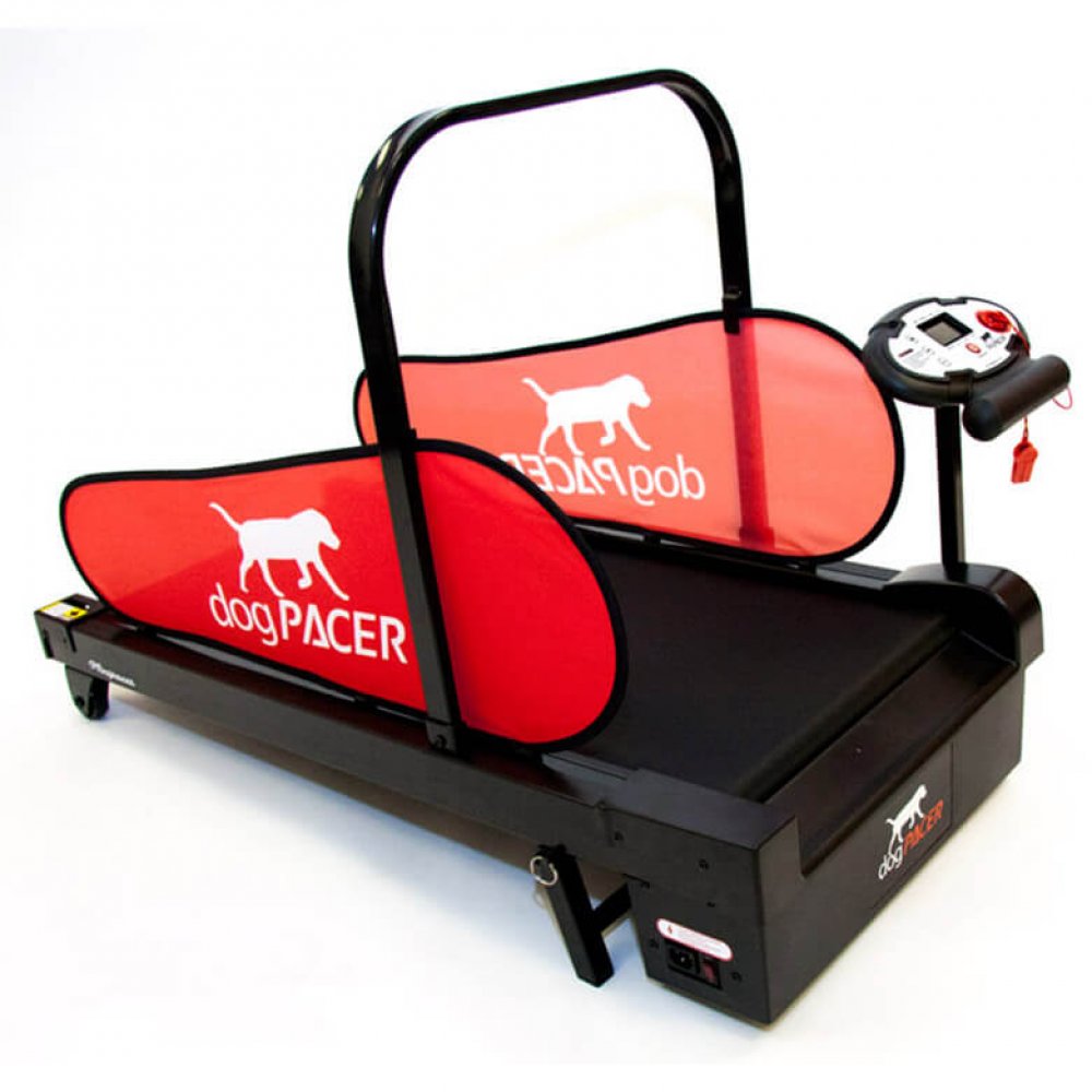 Hundelaufband dogPACER™ MINI für kleine Hunde