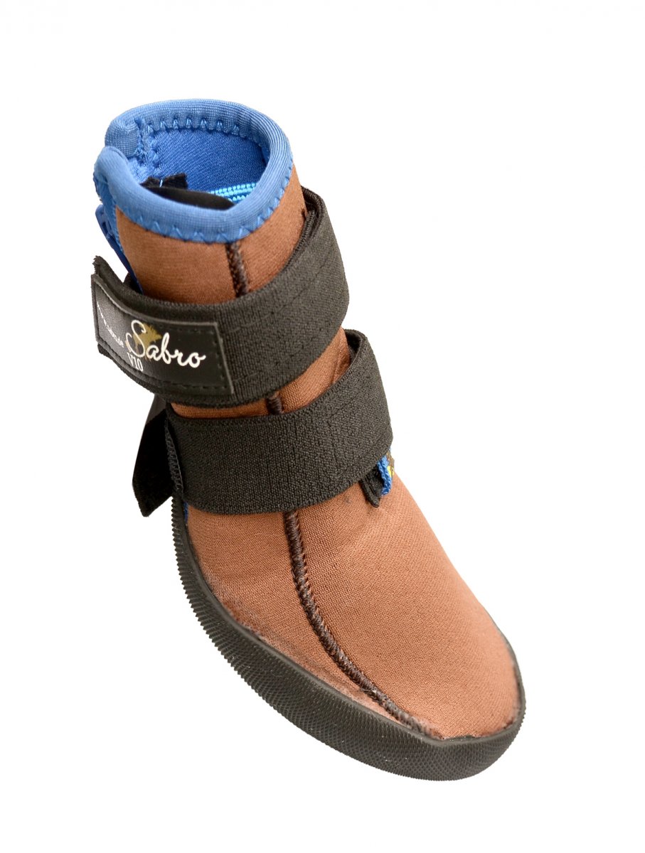 Hundeschuhe Pfotenschutz bei Pet Physio