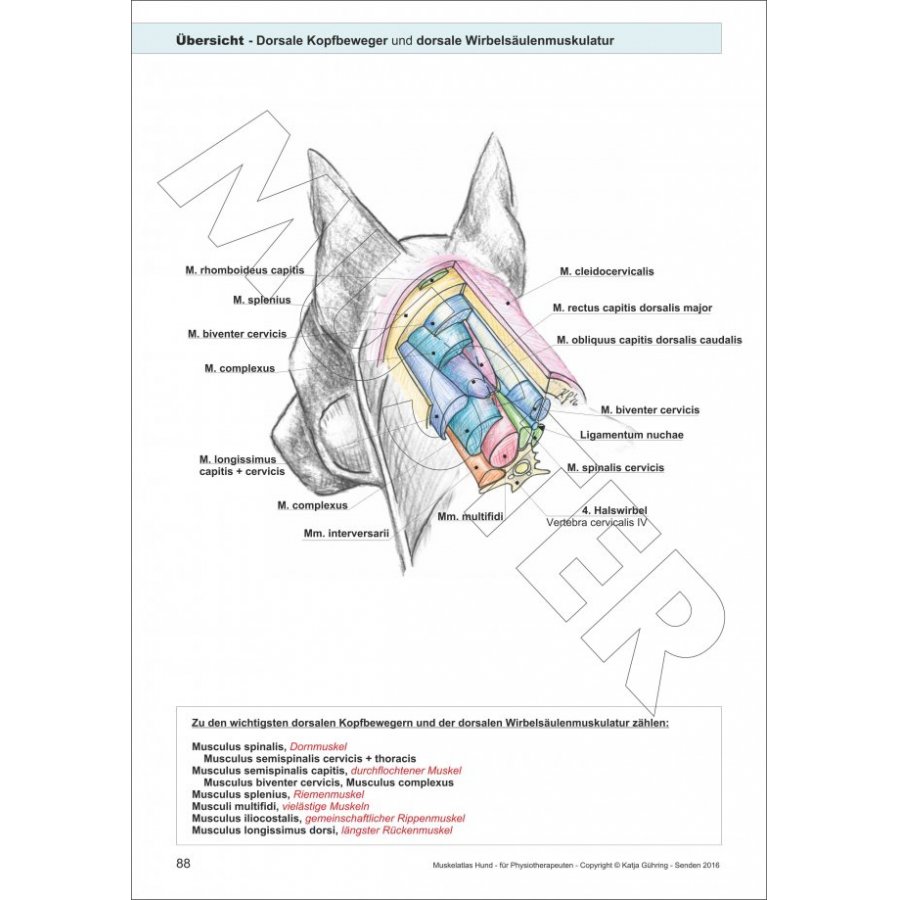 Lern und Arbeitsbuch für Studium und Praxis für