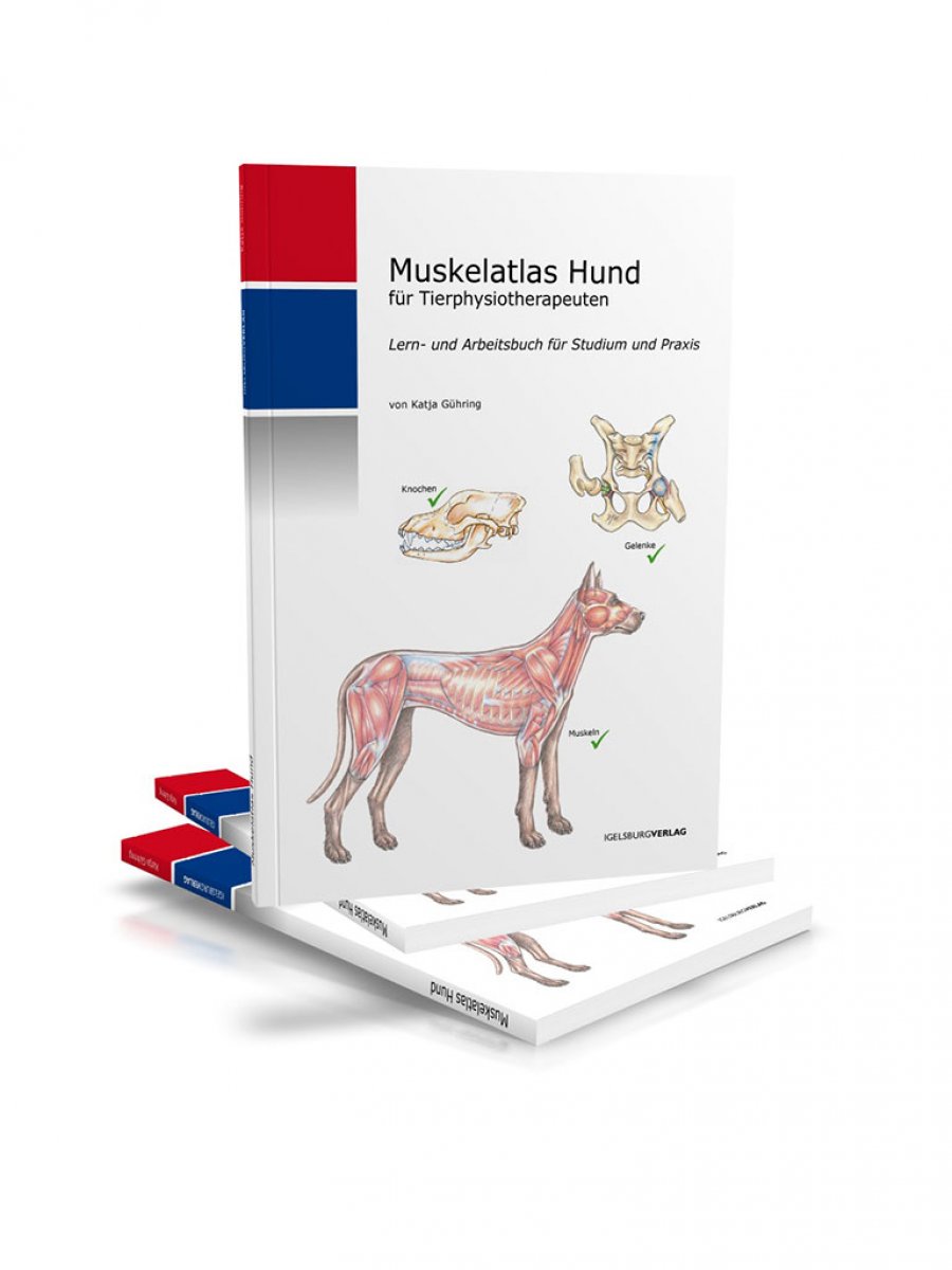Lern und Arbeitsbuch für Studium und Praxis für Tierphysio und