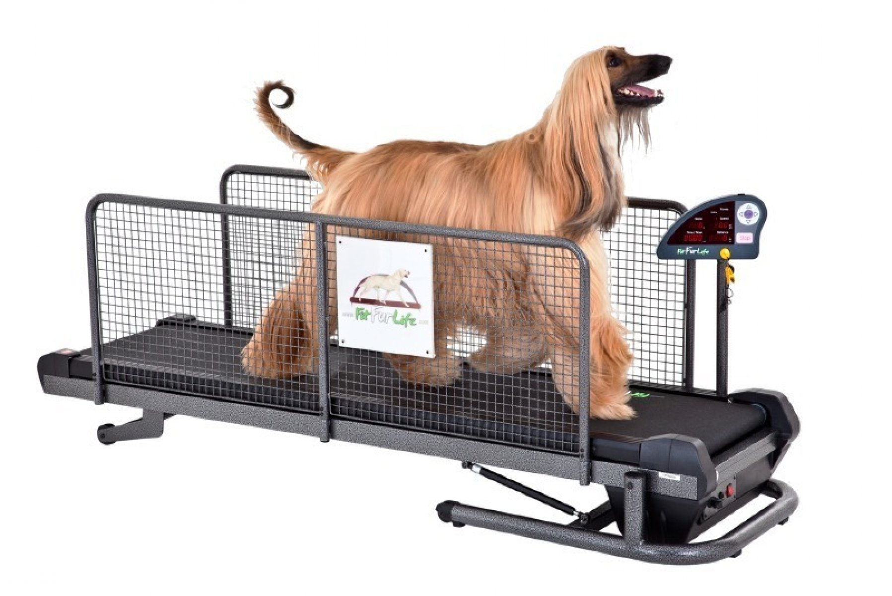 Fit Fur Life Hundelaufband Professional
